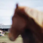 Masia D'en Cot * Puigcerdà