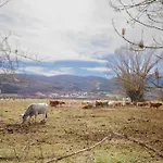 Masia D'en Cot Puigcerdà
